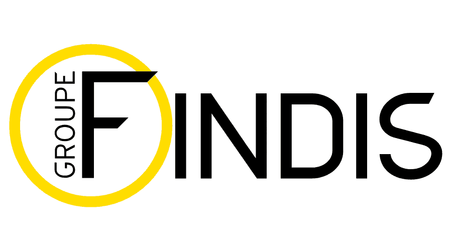 DSI Findis logo